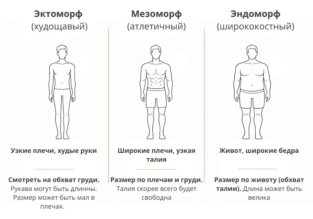 Типы мужских фигур